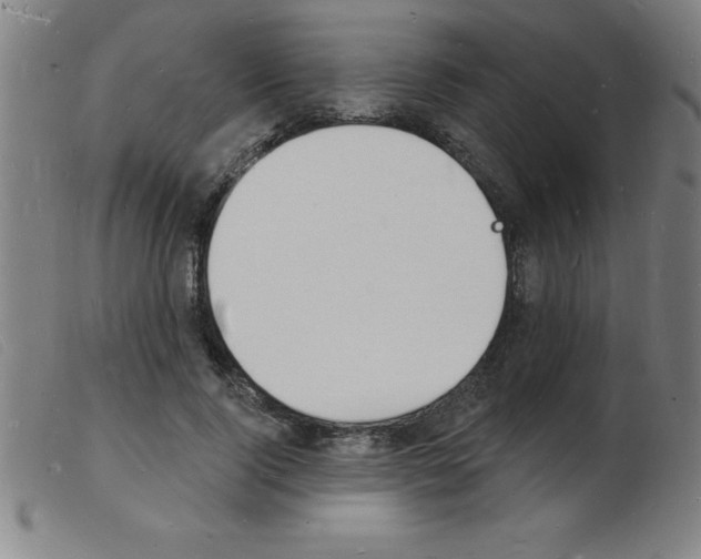 X0000103970740200809191358