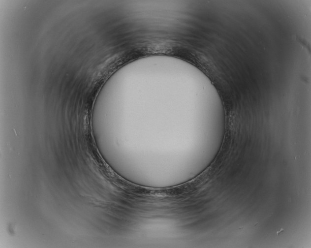 X0000103970741200809191358