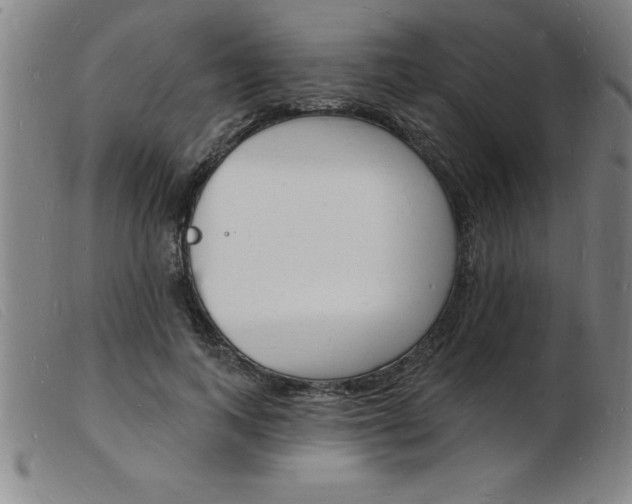X0000103970743200809191358