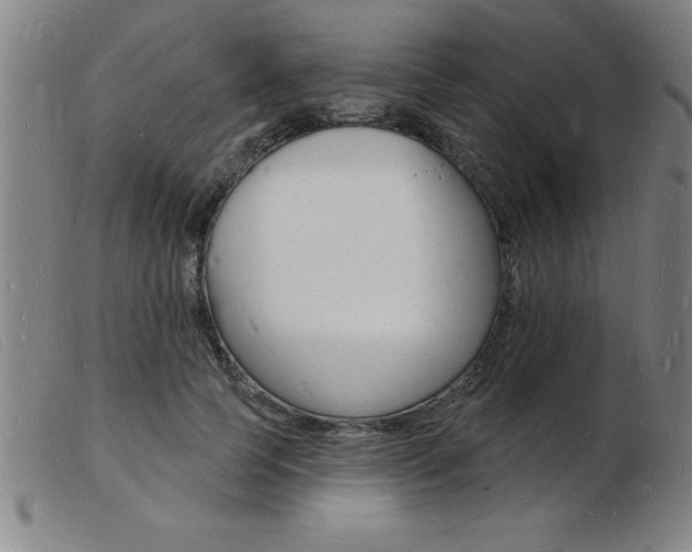 X0000103970745200809191358