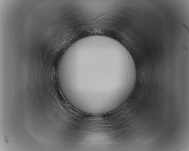 X0000103970747200809191358