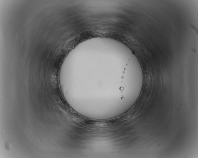X0000103970749200809191358