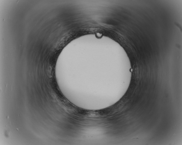 X0000103970750200809191358