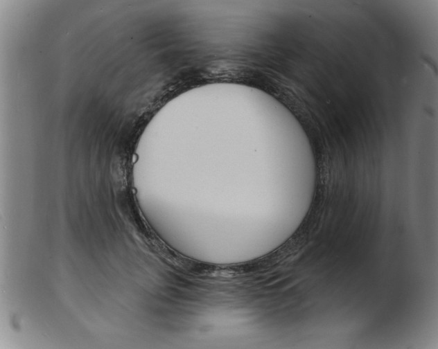X0000103970751200809191358
