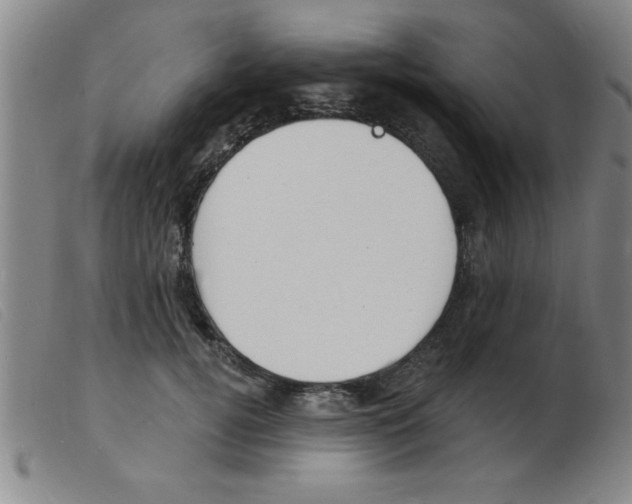 X0000103970752200809191358