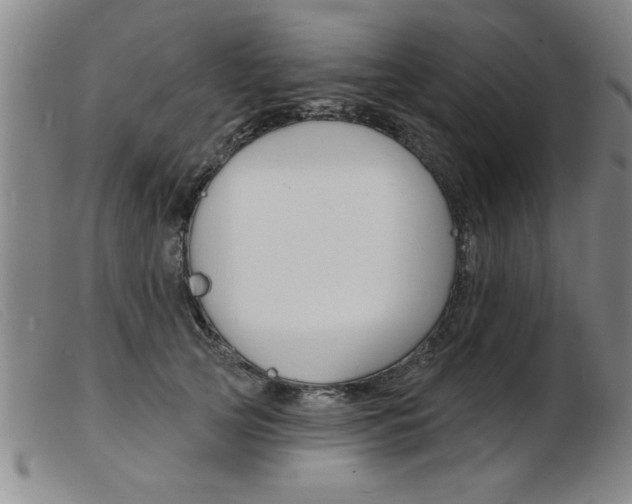 X0000103970753200809191358