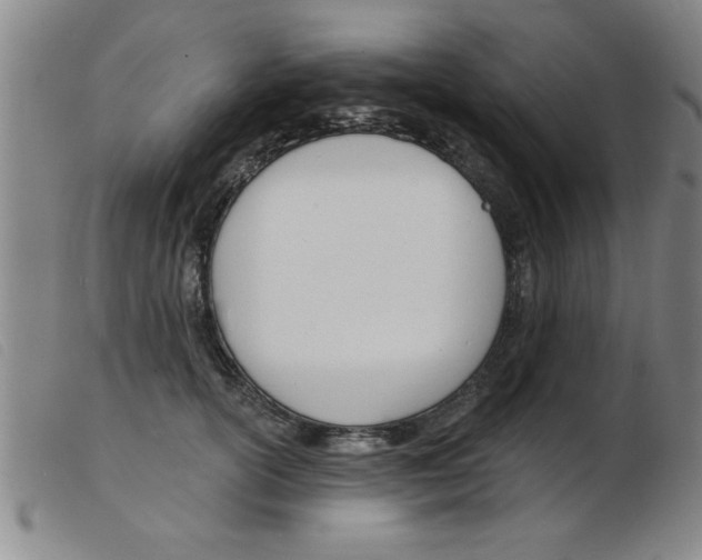 X0000103970754200809191358