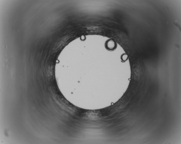 X0000103970756200809191358