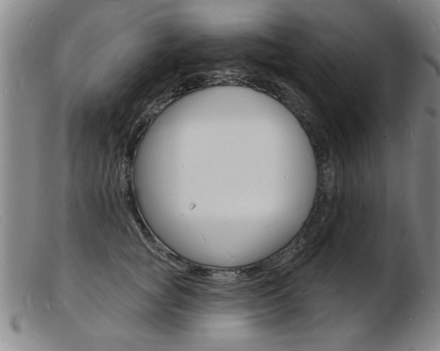 X0000103970757200809191358