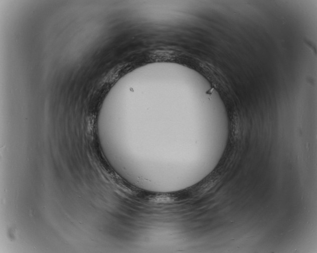 X0000103970759200809191358