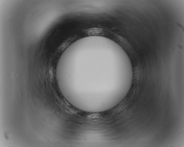 X0000103970761200809191358