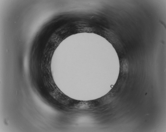 X0000103970764200809191358