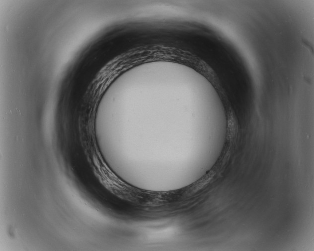 X0000103970765200809191358