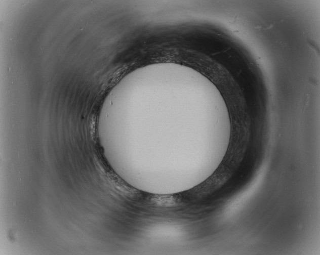 X0000103970767200809191358