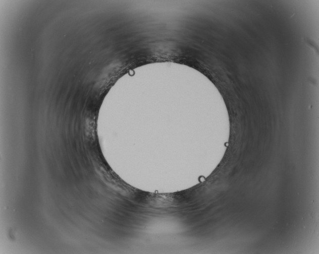 X0000103970768200809191358
