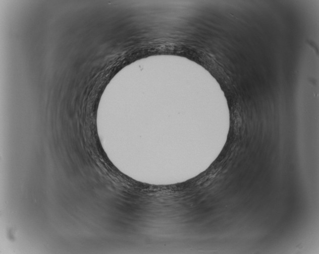X0000103970769200809191358