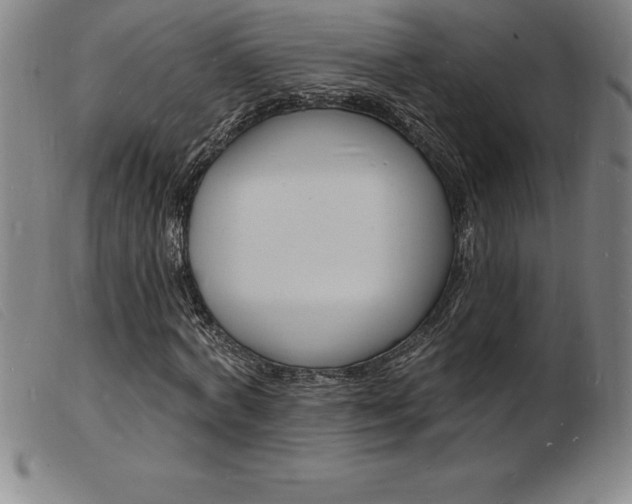 X0000103970772200809191357