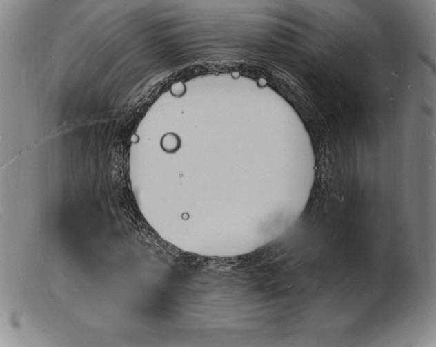 X0000103970773200809191357