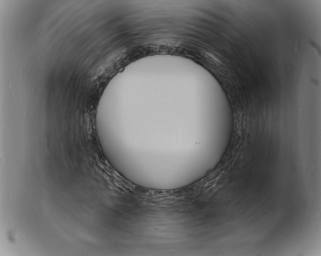 X0000103970774200809191357