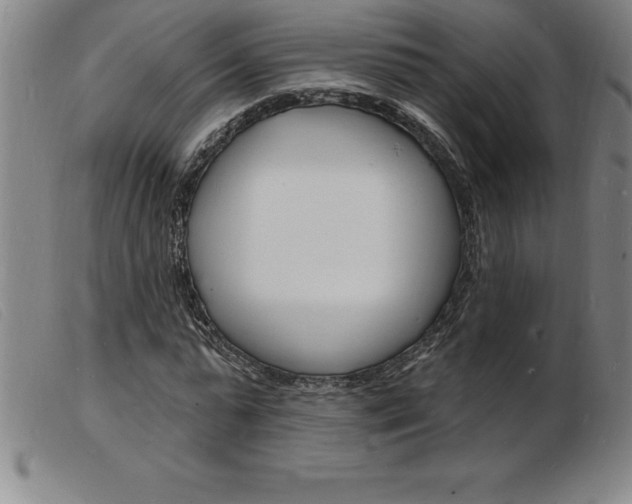 X0000103970775200809191357