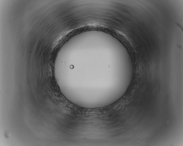 X0000103970776200809191357