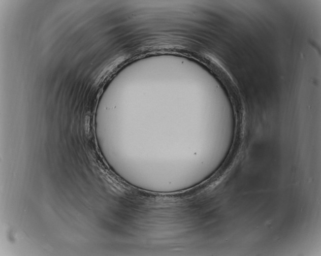 X0000103970777200809191357