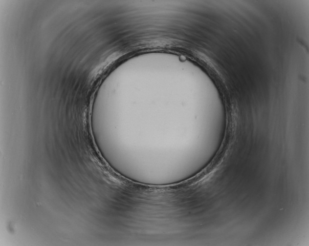 X0000103970778200809191357