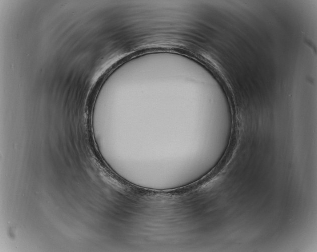 X0000103970779200809191357