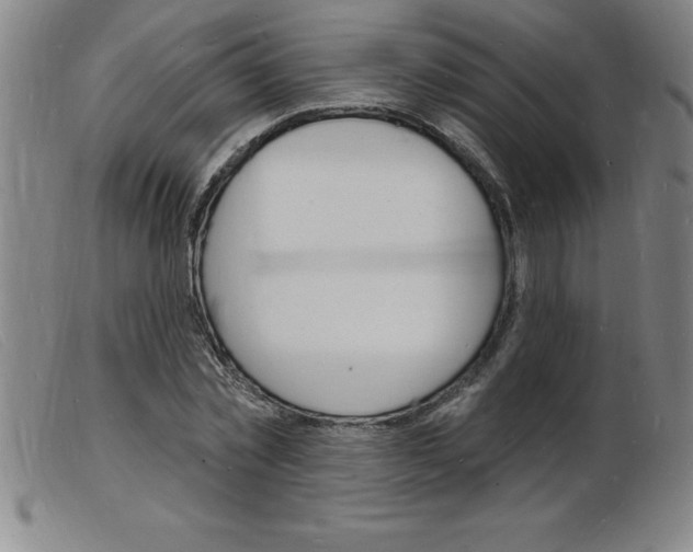 X0000103970781200809191357