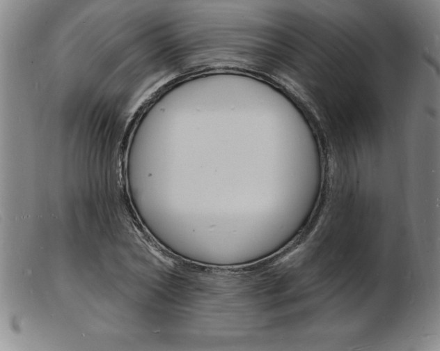 X0000103970782200809191357