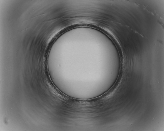X0000103970783200809191357