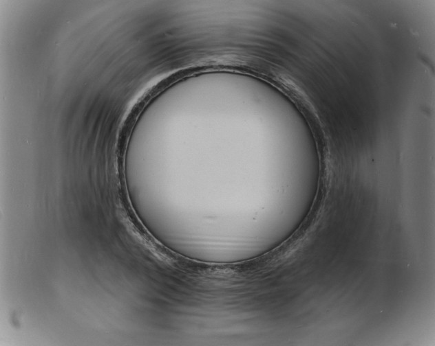 X0000103970784200809191357
