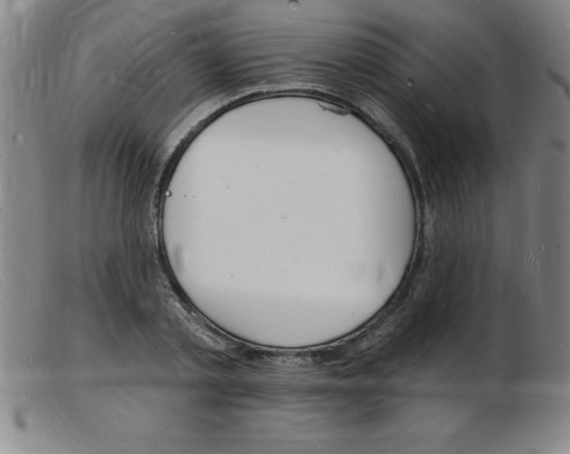 X0000103970789200809191357