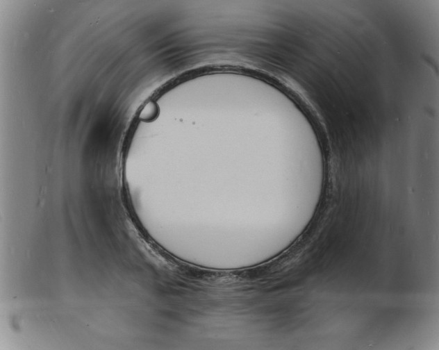 X0000103970791200809191357