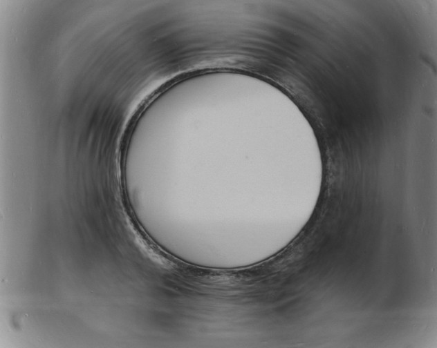 X0000103970792200809191357