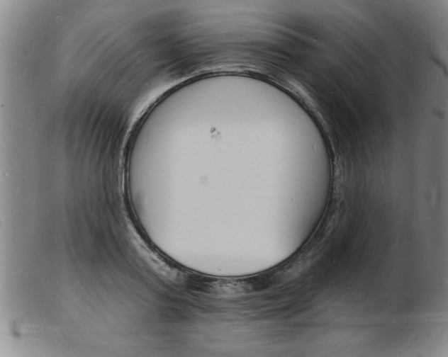 X0000103970795200809191357