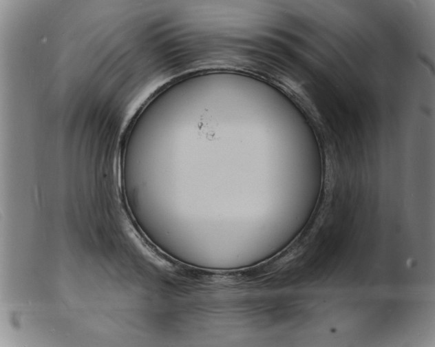 X0000103970796200809191357