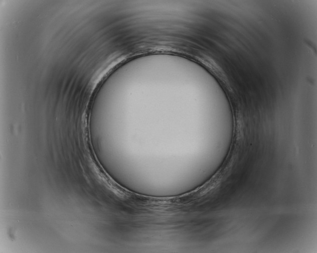 X0000103970798200809191357