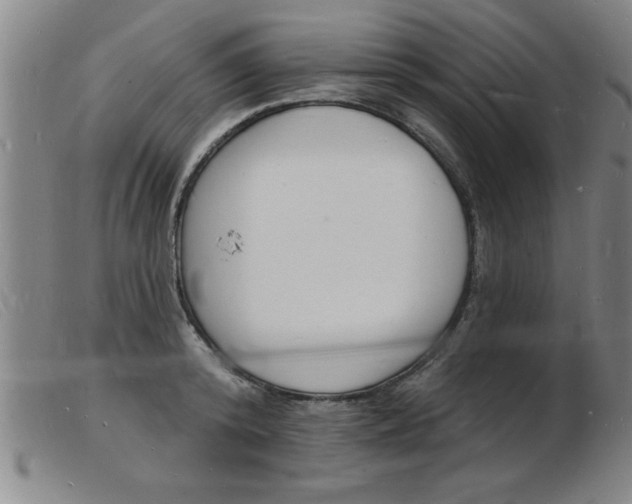 X0000103970800200809191357
