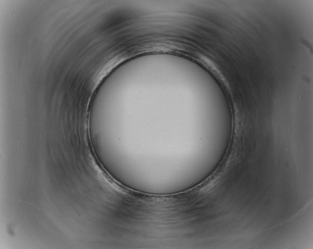 X0000103970802200809191357