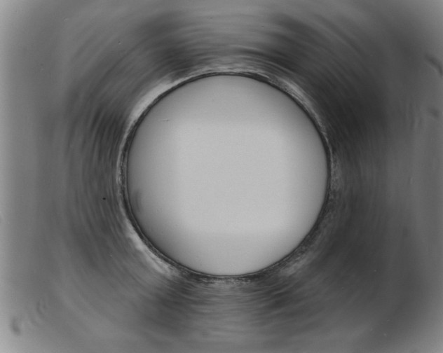X0000103970803200809191357