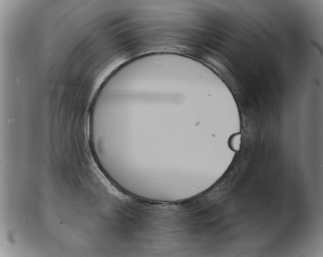 X0000103970804200809191357