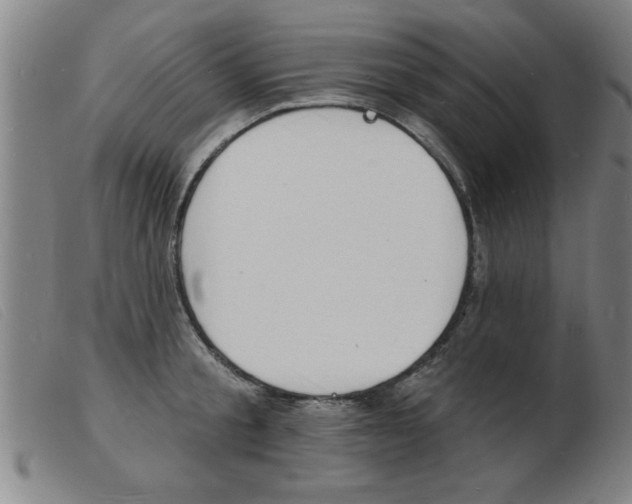 X0000103970805200809191357