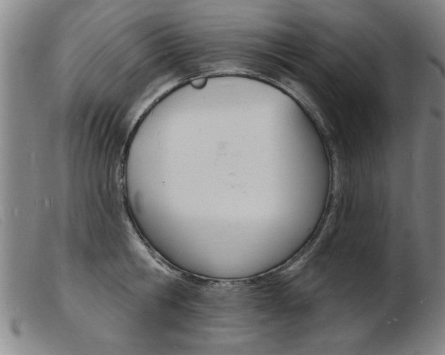 X0000103970806200809191357