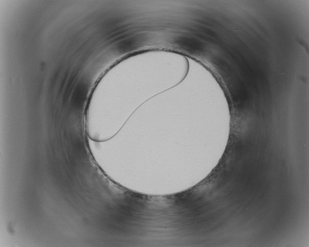 X0000103970807200809191357