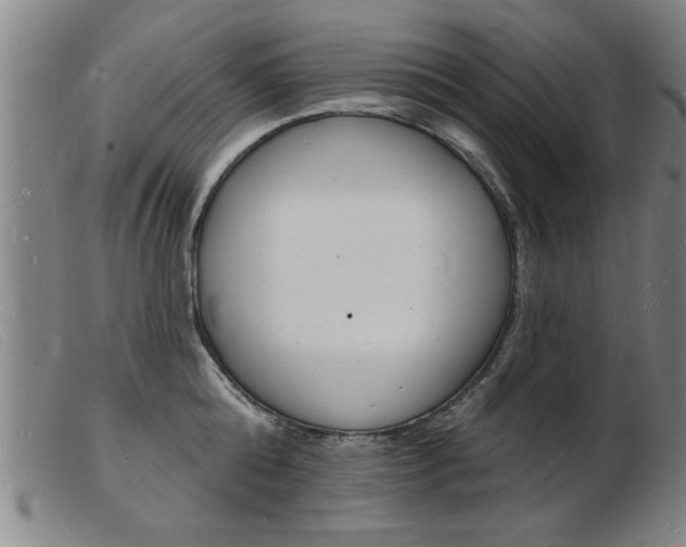 X0000103970808200809191357