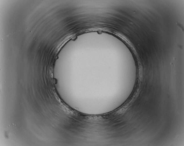 X0000103970809200809191357