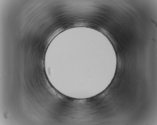 X0000103970810200809191357