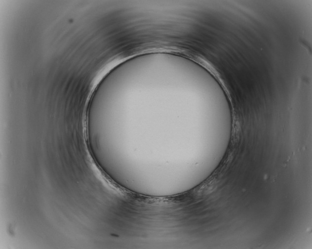 X0000103970811200809191357