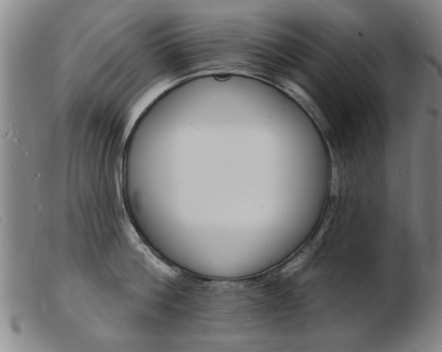 X0000103970812200809191357